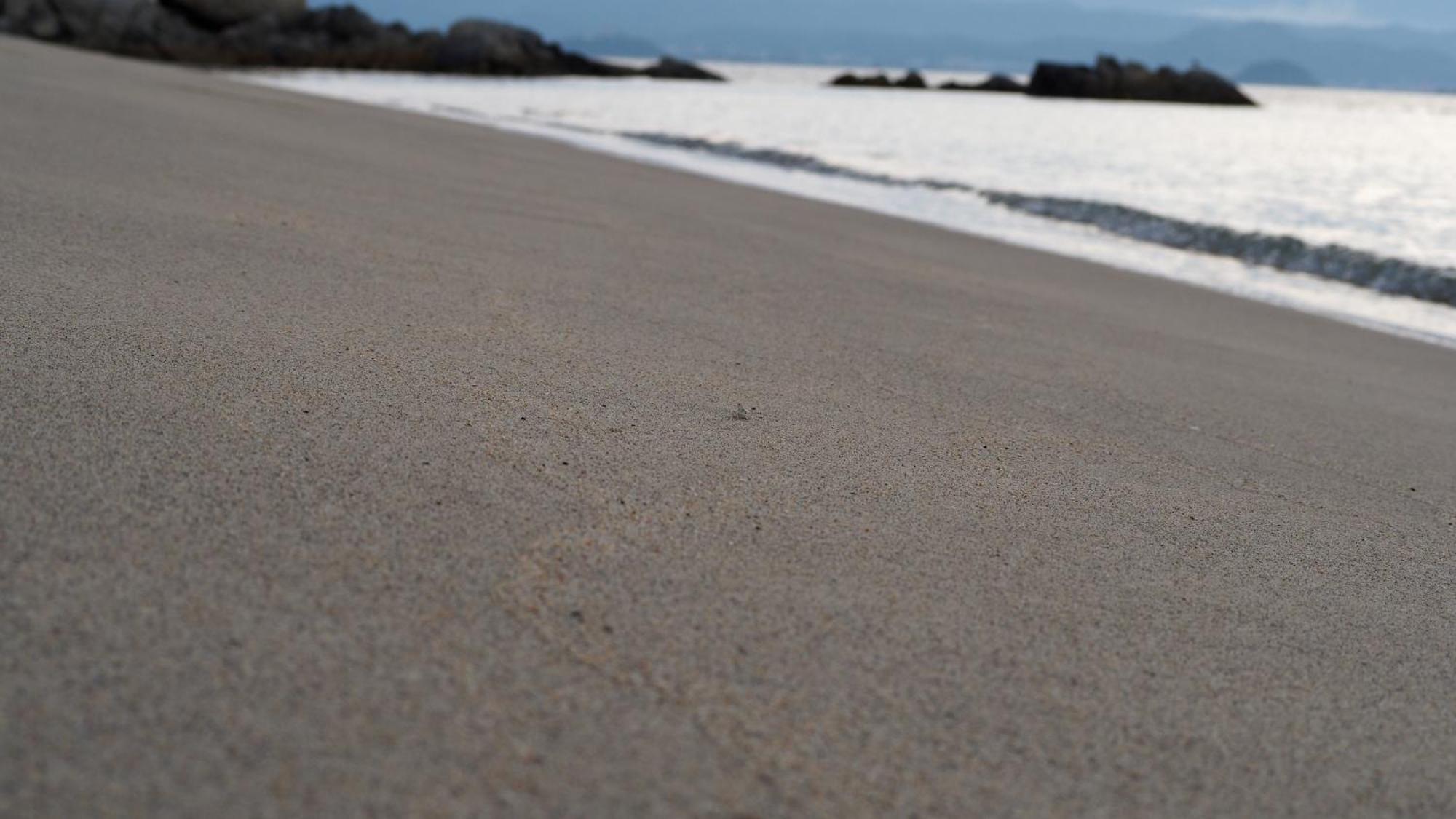 Alfacio Resort Stay Itoshima Buitenkant foto